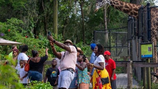 Central Florida Zoo welcomes two female giraffes