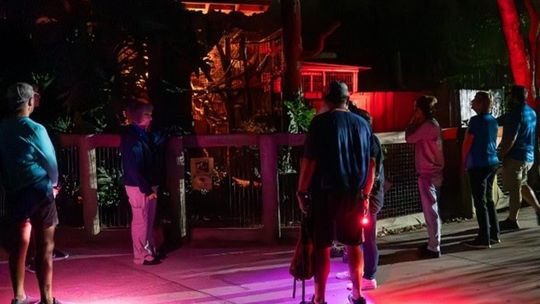 Explore the Central Florida Zoo after dark with Flashlight Safari