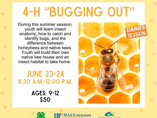 4-H "BUGGING OUT"