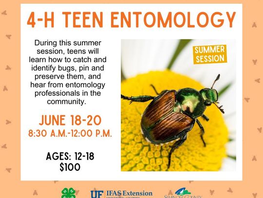 4-H Teen Entomology