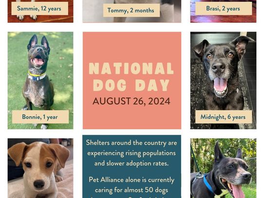 Adoption Event