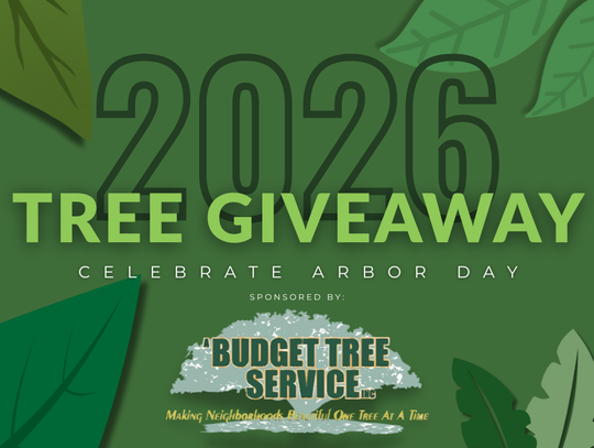 Arbor Day Tree Giveaway
