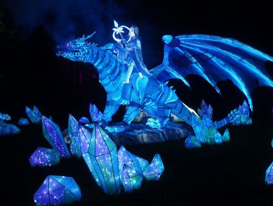 Asian Lantern Festival: Into the Wild