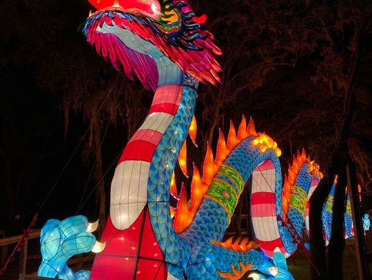 Asian Lantern Festival: Into the Wild, presented by Publix, returns for 5th year at Central Florida Zoo