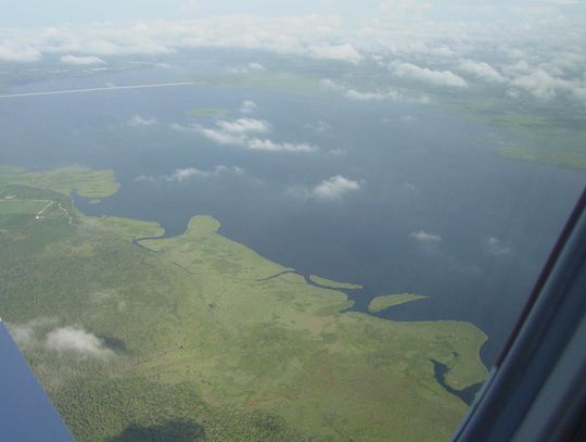 Blue-Green Algae Health Alert Issued for Lake Jesup