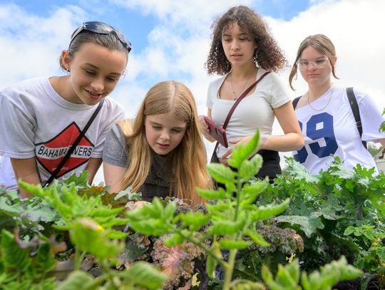 Blue School Grants bring hands-on science to local classrooms
