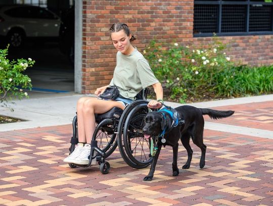 Celebrate National Service Dog Month With Canine Companions