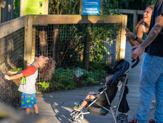 Central Florida Zoo & Botanical Gardens announces new sponsor for Sunset at the Zoo