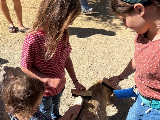 Central Florida Zoo & Botanical Gardens unveils new Barnyard Walkthrough Goat Encounter