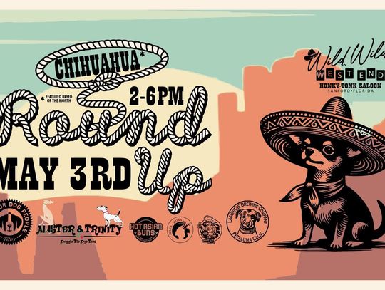  Chihuahua Round Up at the Wild, Wild West End Saloon on May 3