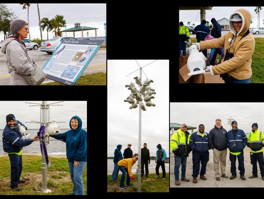 City of Sanford and Seminole Audubon Society provide Safe Shelters for the Purple Martin Bird
