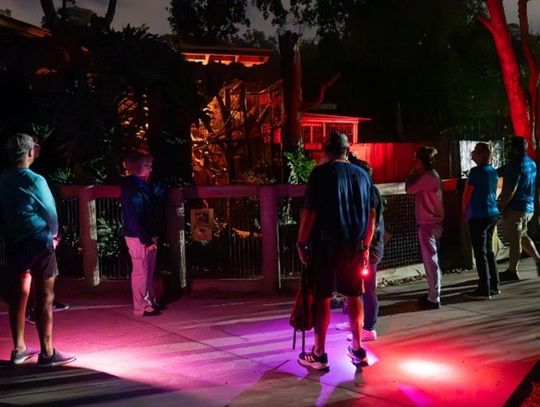 Explore the Central Florida Zoo after dark with Flashlight Safari