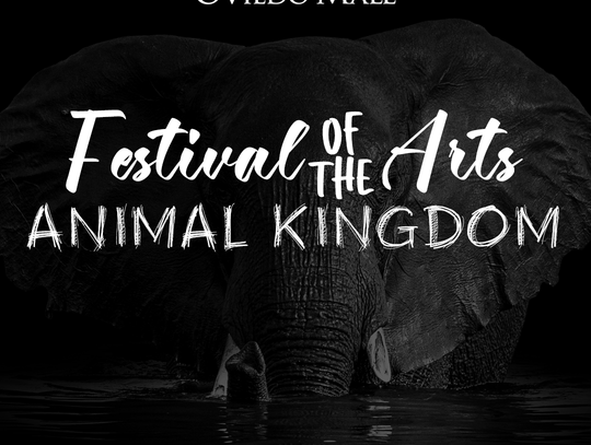 Festival of the Arts: Animal Kingdom