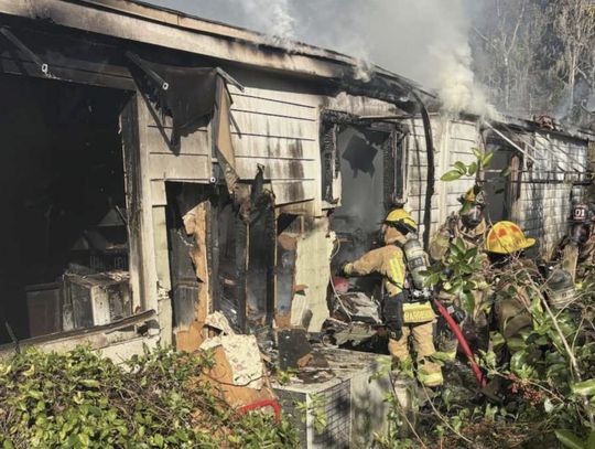 Firefighters rescue dogs from burning building in Oviedo