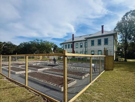 Georgetown Community Garden Grand Opening Set for January 13, 2026