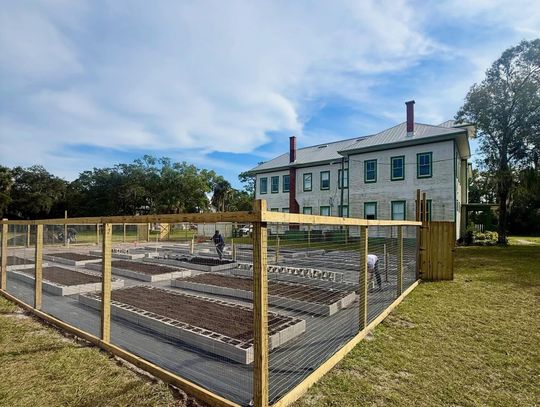 Georgetown Community Garden Update