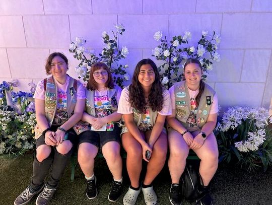   Girl Scouts striving for Gold Awards