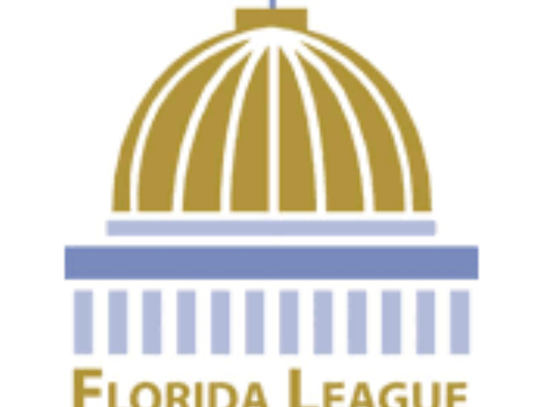 If I were Mayor - Middle School Essay Contest