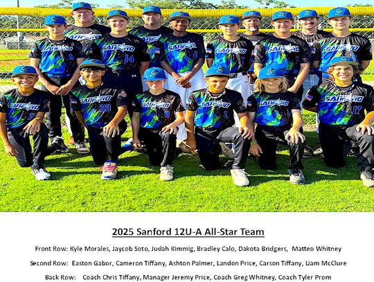 Local youth teams shining on the diamond