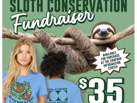 Main Street Matters: Stepping Up to Help Our Sloths Hang In There