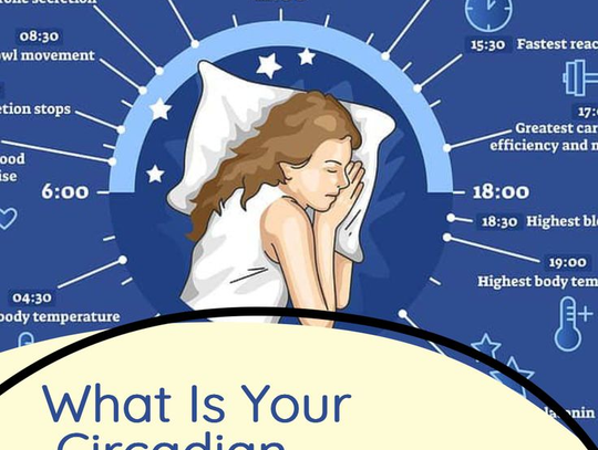 Michele Miles - What is Your Circadian Rhythm and How to Reset It