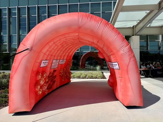 Orlando Health Uses Interactive Inflatable Colon to Raise Awareness for Cancer Screenings