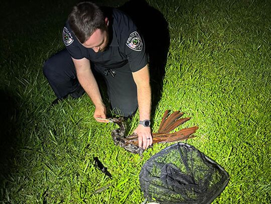 Oviedo Police Officers saving Lives