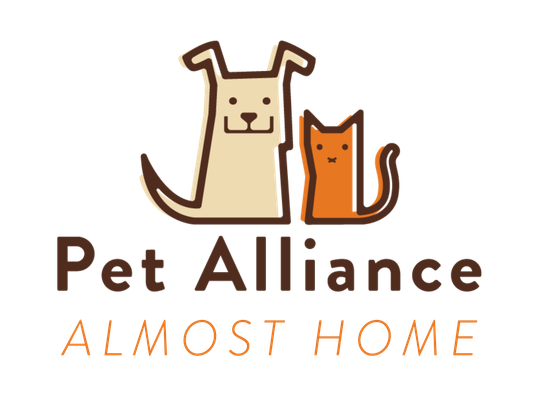 Pet Alliance Announces The 33rd Annual Furball Gala Saturday, November 8 In Orlando