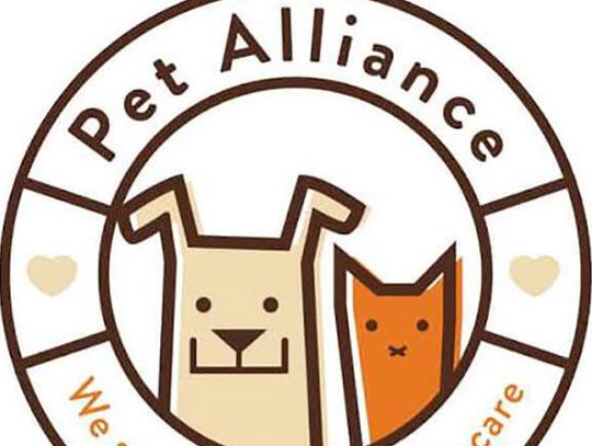 Pet Alliance Kicks Off Orlando’s Cutest Pet Photo Contest: The 13th Annual “My Best Friend Wine Label Contest”