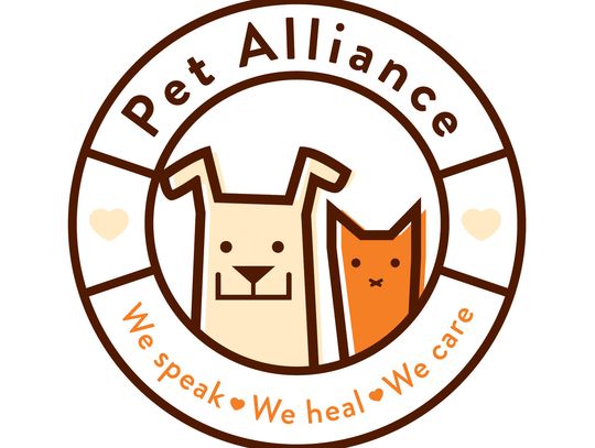 Pet Alliance Launches Public Meeting Space With Adoptable Pet “Cuddle Time”