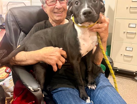 Pet Heroine Judy Sarullo Shelters Animals From Near and Far in Sanford