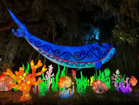 Ring in the New Year early at Asian Lantern Festival: Into the Wild, presented by Publix