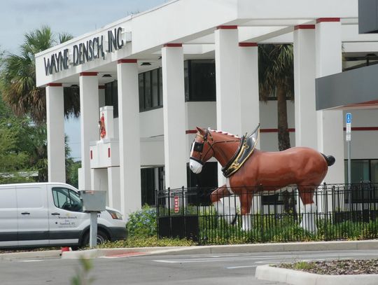 Sanford Celebrates 20th Anniversary of Budweiser Being Declared its Official Beer