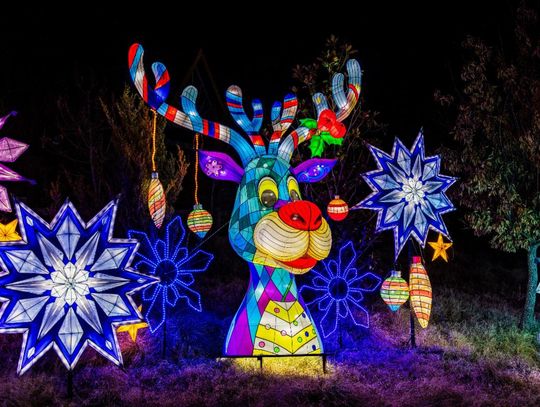 Santa to Make Stop at Asian Lantern Festival: Into the Wild on Dec. 13 and 20