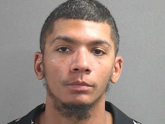 Six-Year-Old Girl and Dog Found Abandoned in Deltona
