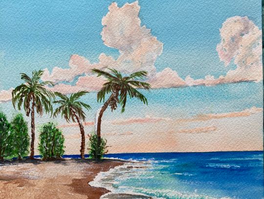 SSAA Exhibit “Summer Fun”