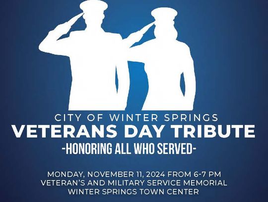 Veterans Day Tribute