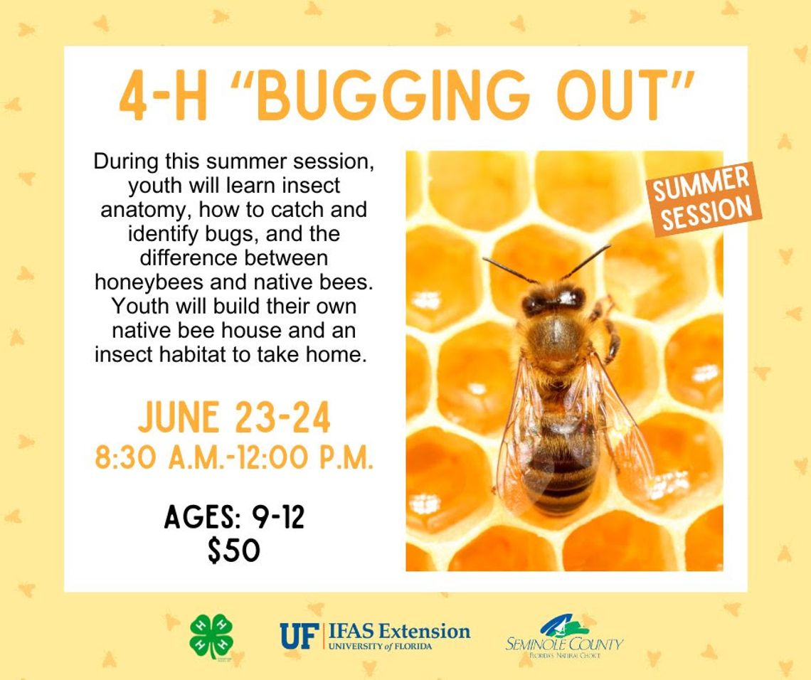 4-H "BUGGING OUT"