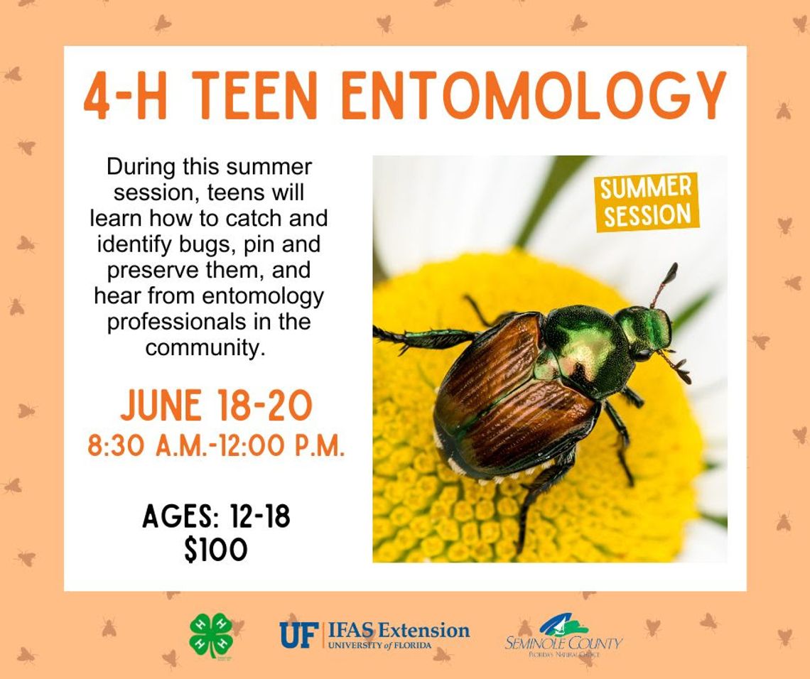 4-H Teen Entomology