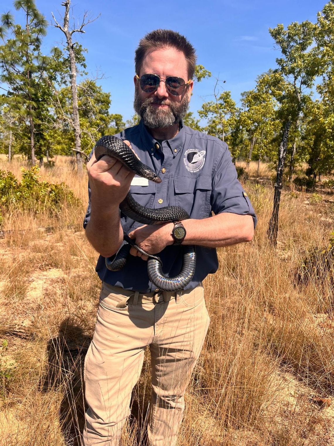 42 Eastern Indigo Snakes released across Florida and Alabama in continued Species Recovery Effort 42 Eastern Indigo Snakes released across Florida and Alabama in continued Species Recovery Effort