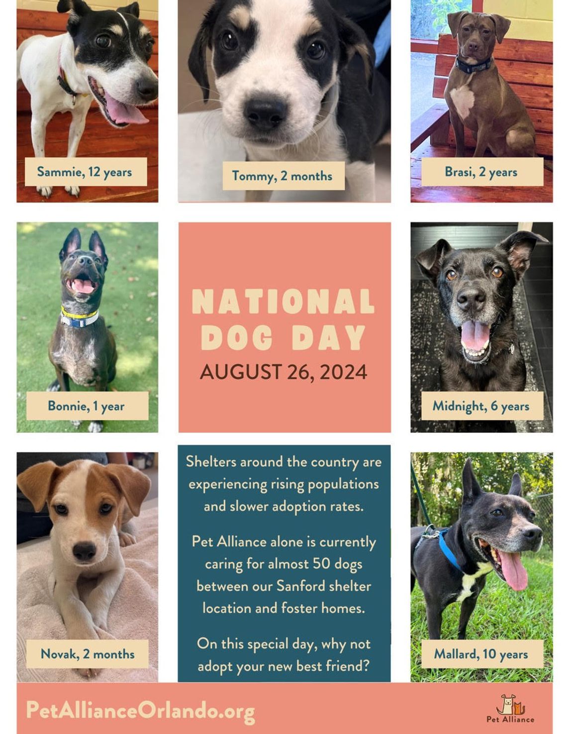 Adoption Event