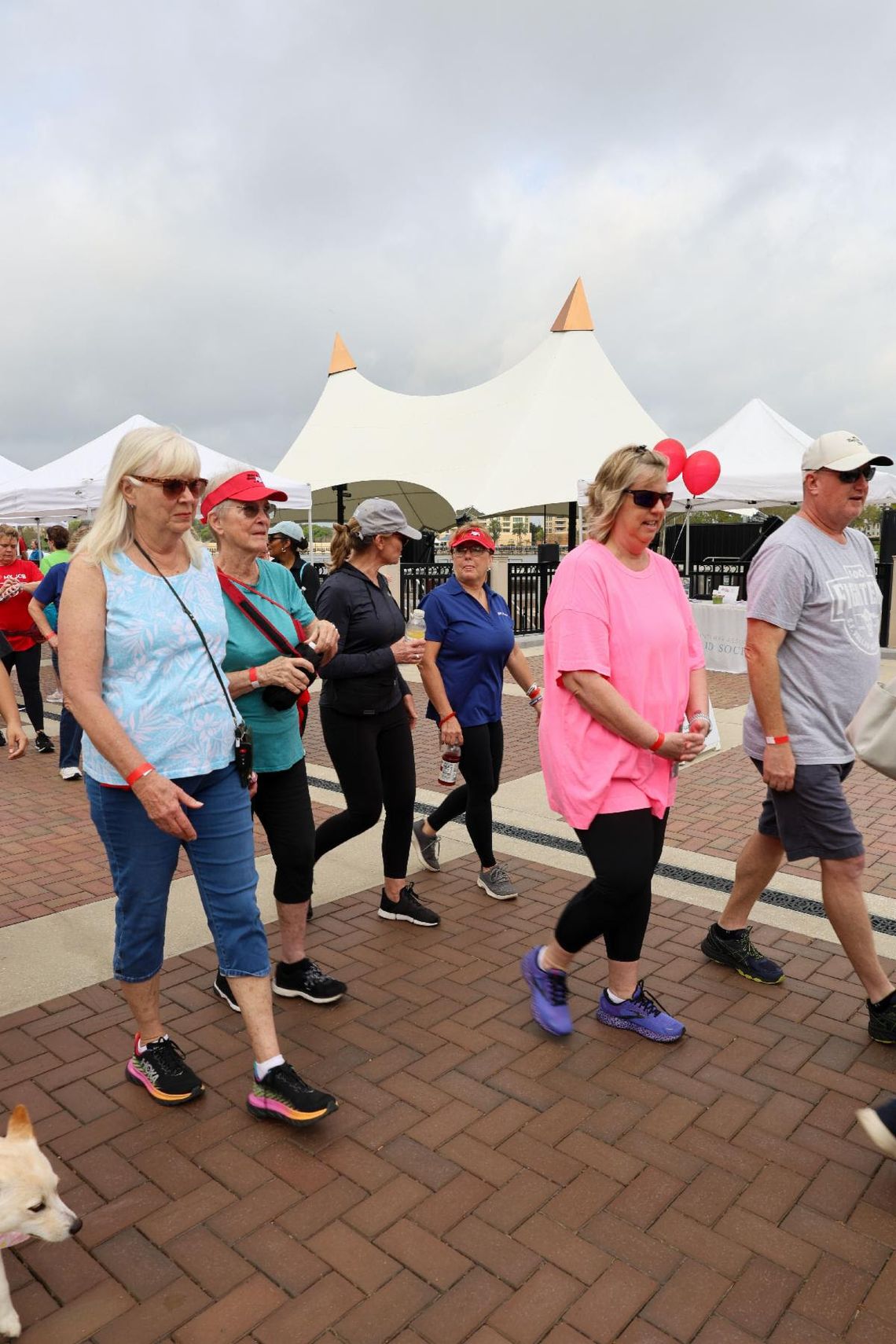Annual March for Meals Event benefits Seminole County Seniors