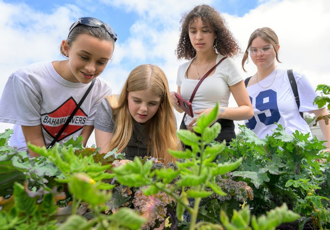 Blue School Grants bring hands-on science to local classrooms