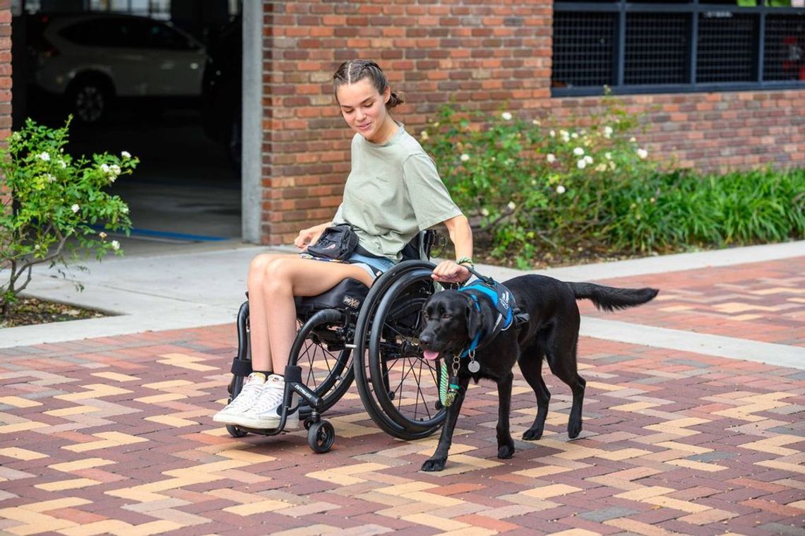 Celebrate National Service Dog Month With Canine Companions