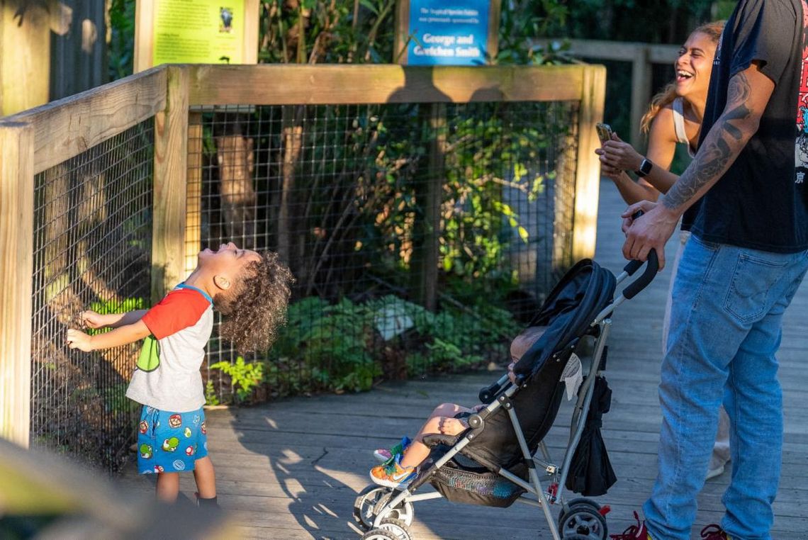 Central Florida Zoo & Botanical Gardens announces new sponsor for Sunset at the Zoo Central Florida Zoo & Botanical Gardens announces new sponsor for Sunset at the Zoo