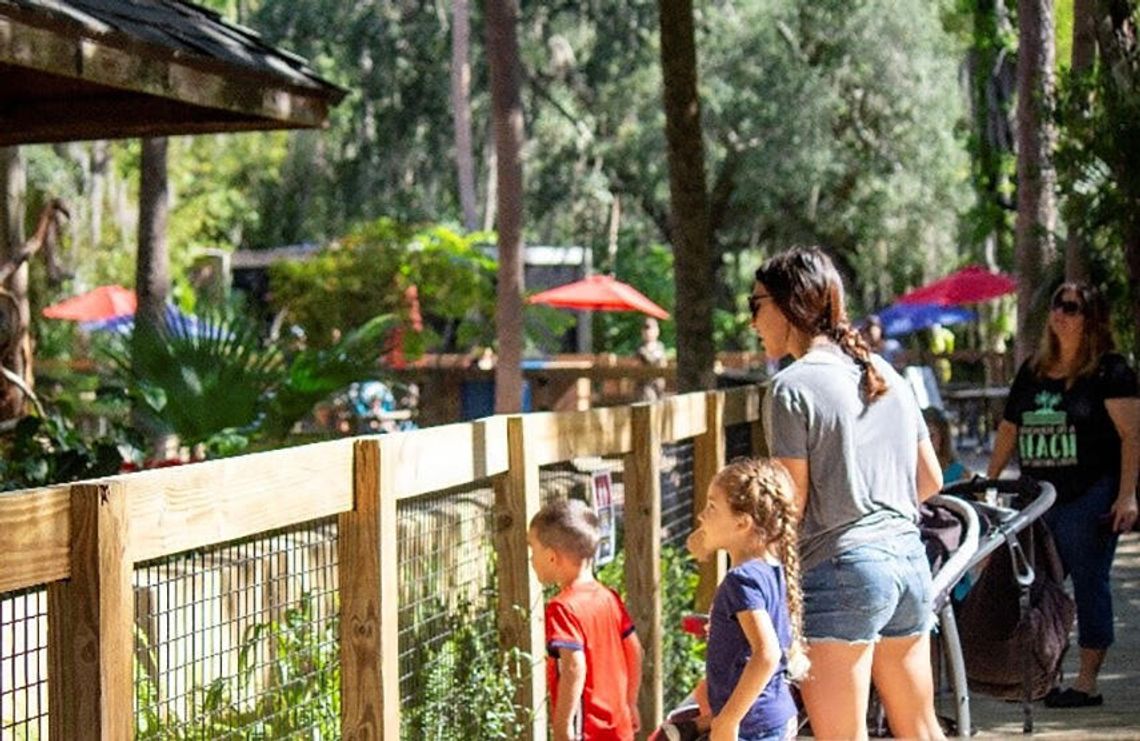 Central Florida Zoo & Botanical Gardens announces new summer hours
