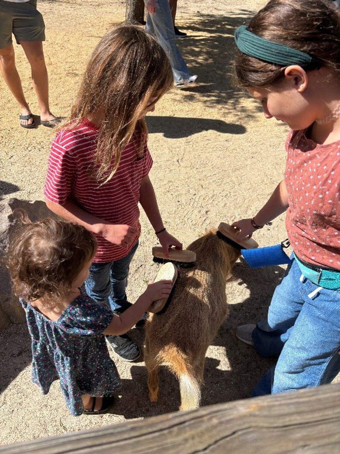 Central Florida Zoo & Botanical Gardens unveils new Barnyard Walkthrough Goat Encounter