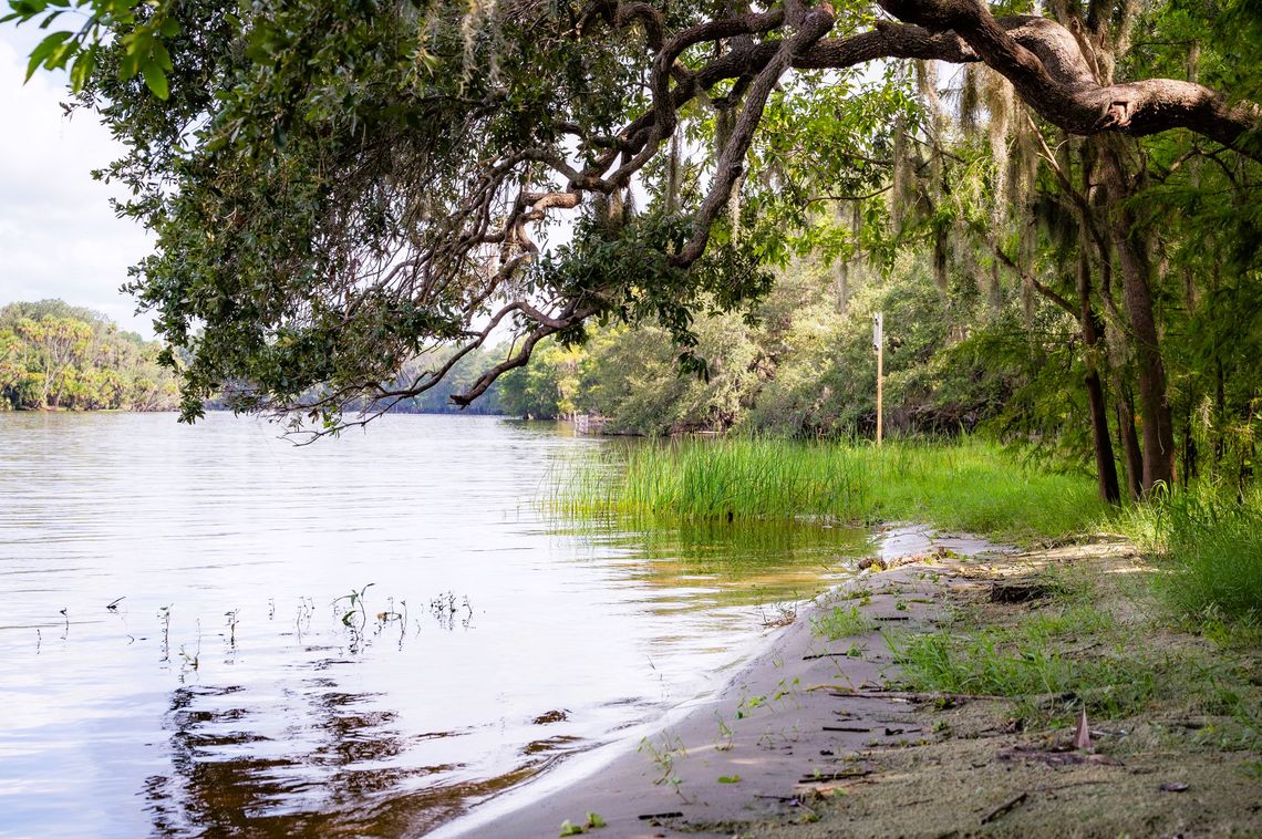 City of DeBary Secures $3 Million in State Funding for Critical Infrastructure and Alexander Island Projects City of DeBary Secures $3 Million in State Funding for Critical Infrastructure and Alexander Island Projects
