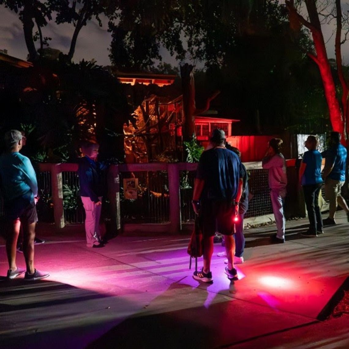 Explore the Central Florida Zoo after dark with Flashlight Safari Explore the Central Florida Zoo after dark with Flashlight Safari