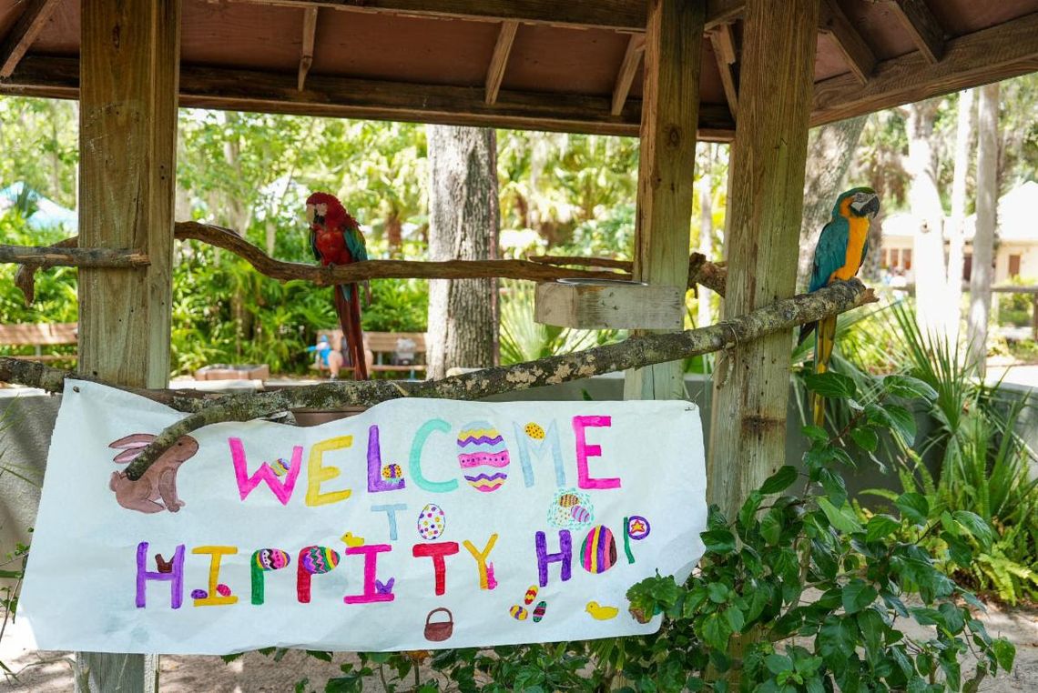 Hippity Hop Adventures at the Zoo Hippity Hop Adventures at the Zoo